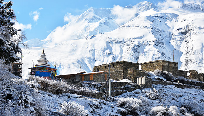  Nar Phu Valley Trek 