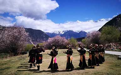 Not Just Peach Blossom in Spring! Nyingchi is Worth Visiting in Four Seasons