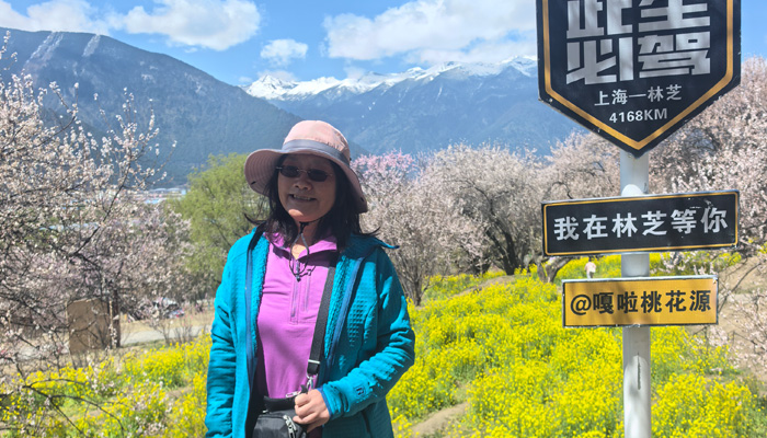 Nyingchi peach blossom in Spring