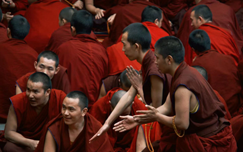 Sera Monastery Monk Debates