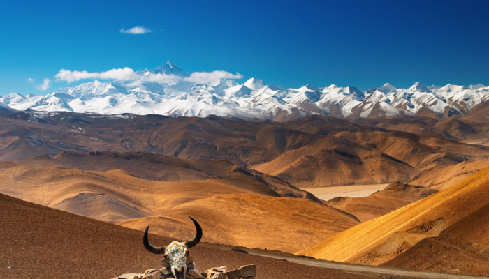 the Himalayas