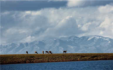 Overland Tour from Xining to Lhasa